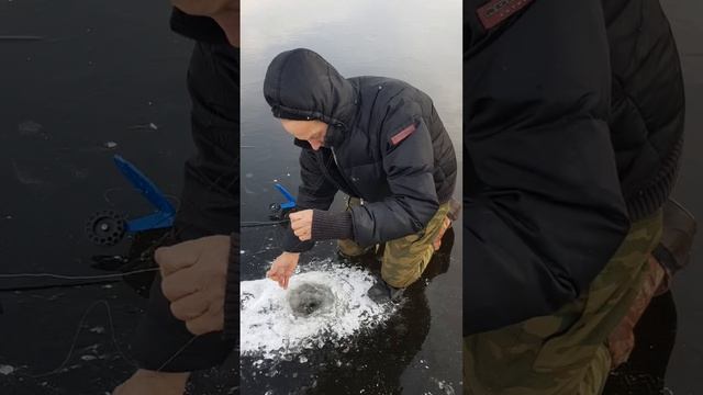Щука на Вселуге по первому льду 2022г.