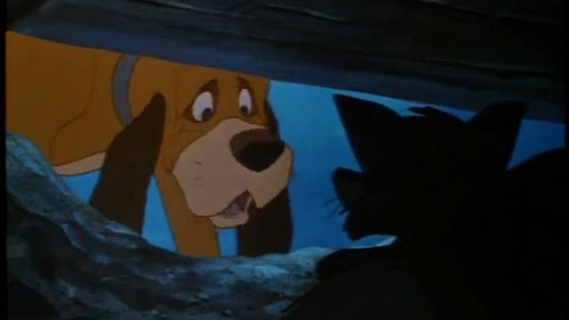 The Fox and The Hound ~ How to Save a Life