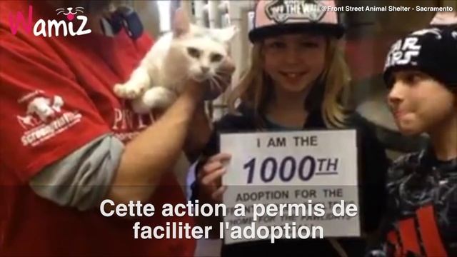 Elle permet à 1 000 animaux d'être adoptés !