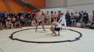 Сумо: Кубок Hinode Power Japan 2019(18)