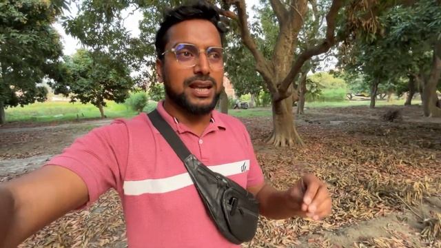 MUZAFFARPUR KI LICHI || क्यों है इतनी महंगी..? || LICHI BAGAN || PTIDE OF CITY |SUHAIL AZMI VLOGS |