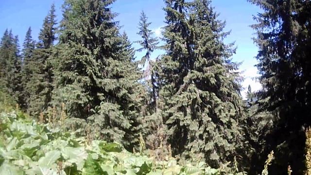 Гора Яйко Ілемське