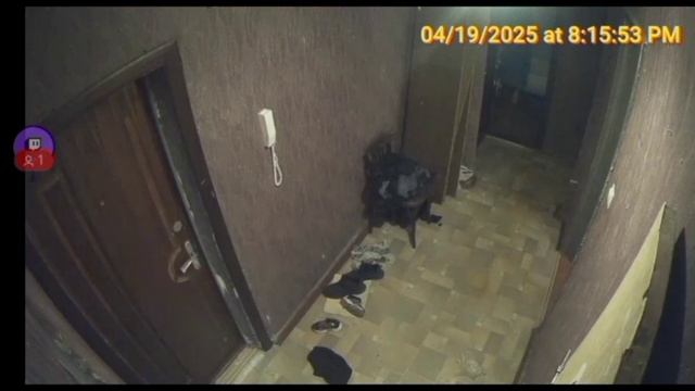 Бабайка зачитала.