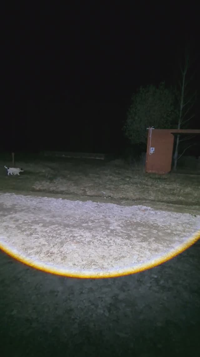 тест на лобного фонаря