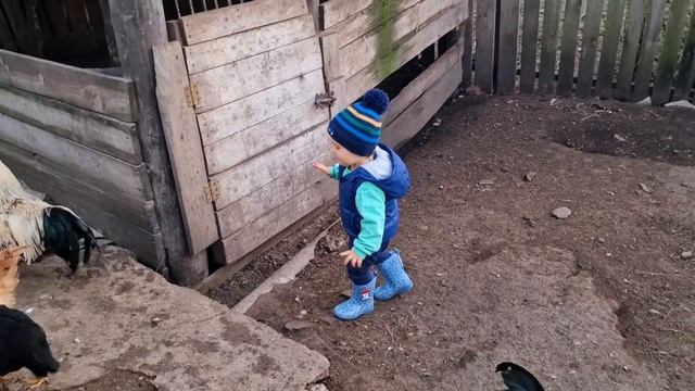опять Артём на хозяйстве)