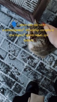 Катаюсь так два раза в неделю
