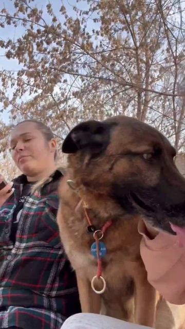 VID_20250401_135507_584