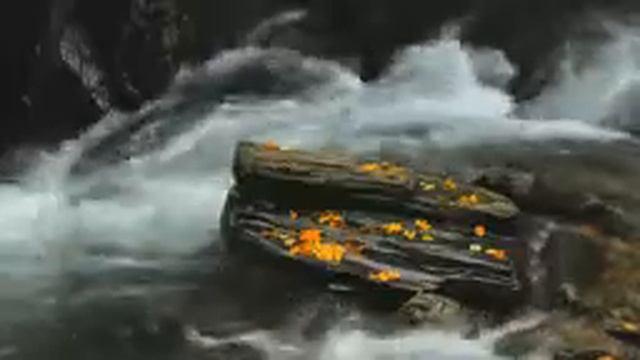 The Very Best Of Richard Rodgers! 4K Beautiful & Romantic Music Video!   YouTube