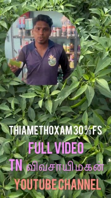 #shortsfeed #shortvideo #tranding #insecticide