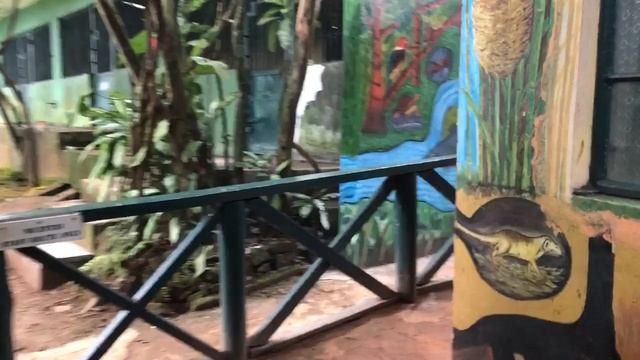 Rowena Goes Ape at Tacugama