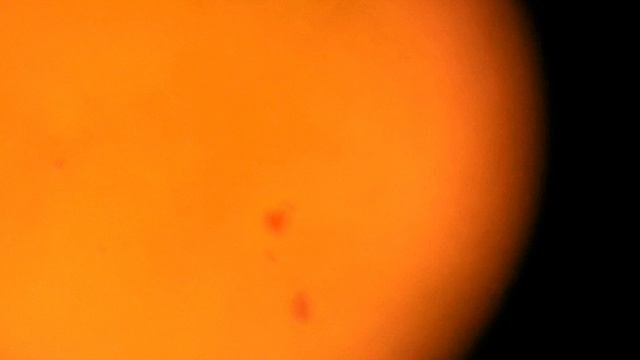 солнце 20.04.25