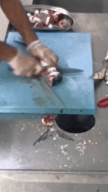 Barracuda cutting skills #shorts