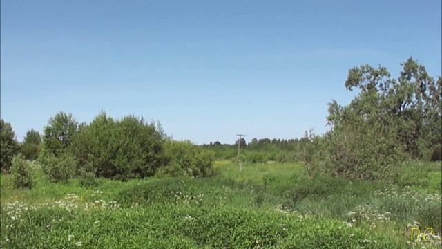 Тепло. Лето 2024 года