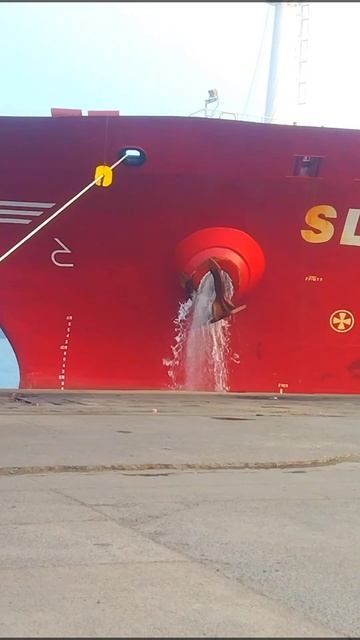 Ship  ⚓cleaning..... 🛳️#shorts