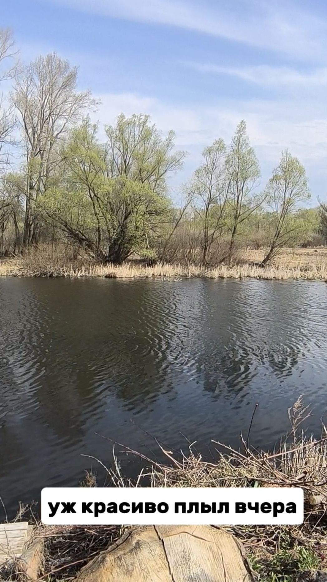 Уж красиво плыл вчера
