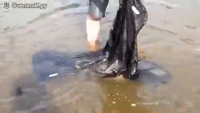 Рыбина в 30 кг