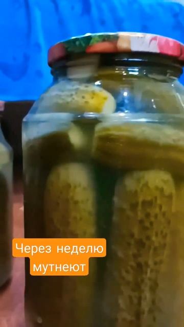 Что не так с огурцами?