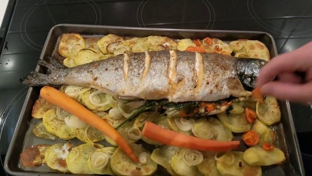 Глаукома у рыбки