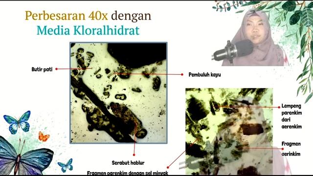 PRAKTIKUM FARMAKOGNOSI- MATERI RHIZOMA & RADIX (PART 1)