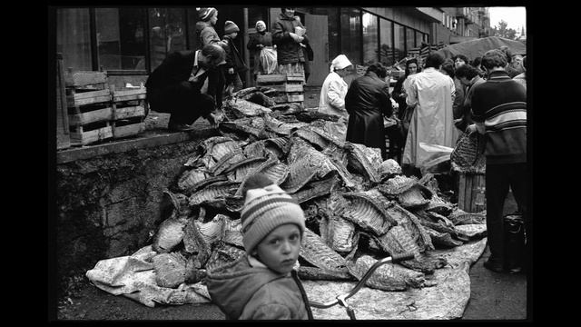 Бараньи ребра на улице Веры Соломиной. Новокузнецк. 8.09.1988