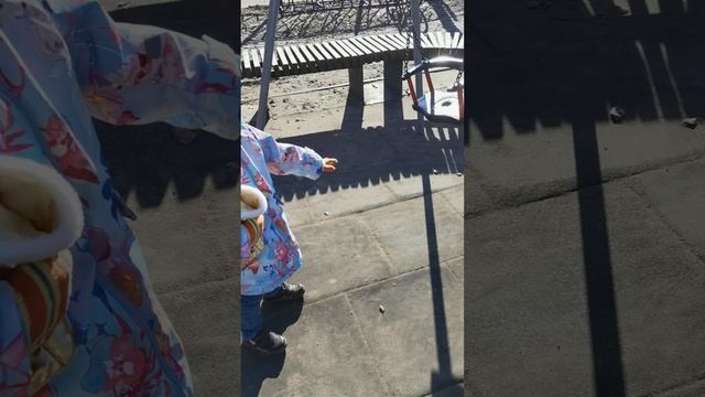 petal_20250420_194356.mp4