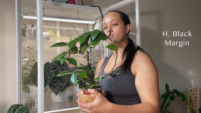 Plant Tour | What's in my Ikea MILSBO cabinet!