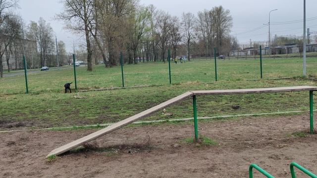 Пасха 2025 @ Моя Жизнь Кино @ Музей Псов