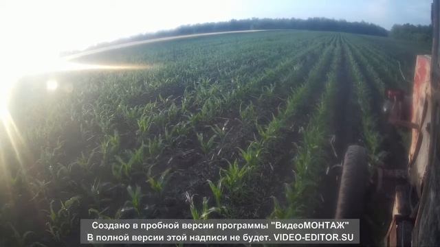 ДН Хортиця перше пiдживлення по листу