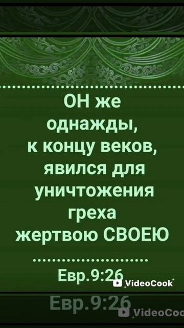 VideoCook_20250420_172218444.mp4