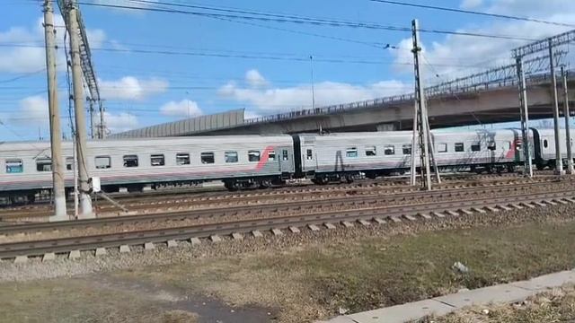 Впервые Встретили Ласточку на Мгинском Направлении!