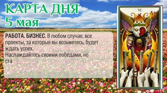 Ставьте на свою победу! Полный прогноз на 5 мая #таро #картадня