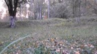 пирожки с капустой