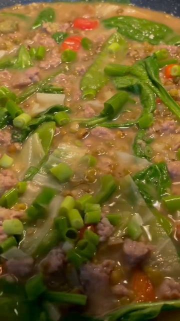 Dinner For Tonight Mung beans Soup w/Brown Rice