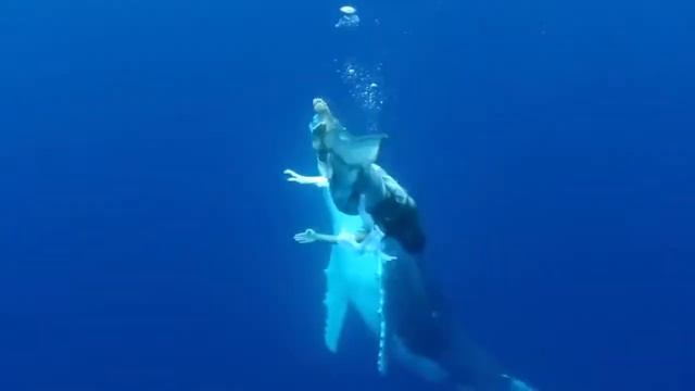 Girl and the underwater world of the ocean