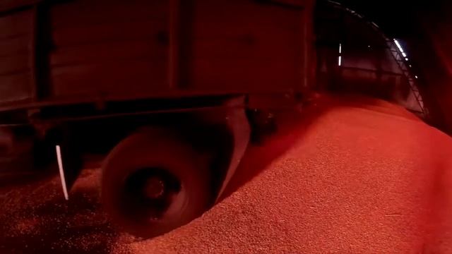 Уборка кукурузы 2015 Нива СК-5 и Газ 3307 /Mowing of corn 2015 the NIVA СК- 5 and GAZ 3307