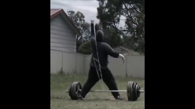 530 pounds partial shoulder press with 1 hand