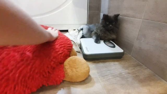 У Баси генеральная чистка имущества!
