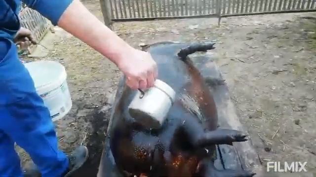 Частина 1 #свіжина#таранчук#, звична справа для селянина