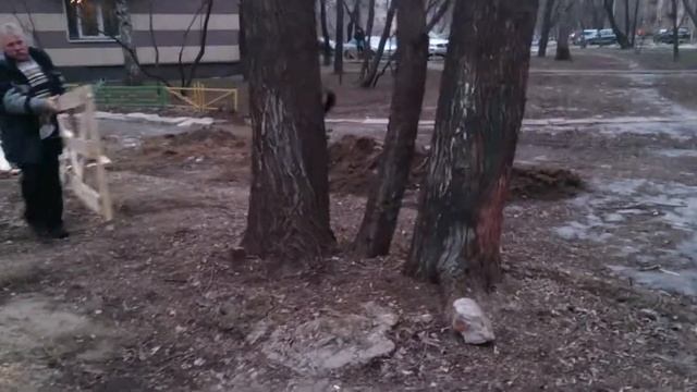 Леон отроботал на отлично!!!
