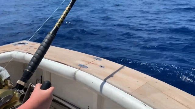 Levis 50 kg black marlin