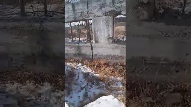 Заброшенная ферма , за огородами😱🙂