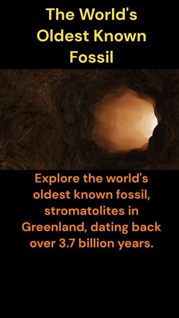 Unveiling Earth's Ancient Secrets: The World's Oldest Fossil Revealed! 🌍🔍