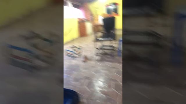BELA LARI E LORI BRINCANDO