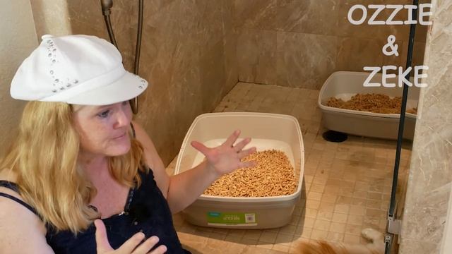 Large Cat Litter Box Solutions - Five Tips to Help with Mess, Cost and Smell