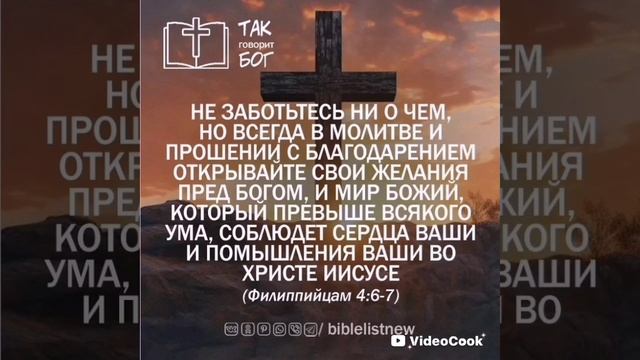 VideoCook_20250420_171210680.mp4