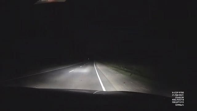 Лось перебегает дорогу возле Сысерти