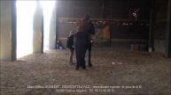 MILAN "La PREMIERE FOIS D'ELSA " Partie 1 - Marie Hélène GODBERT / www theatre equestre de picardie