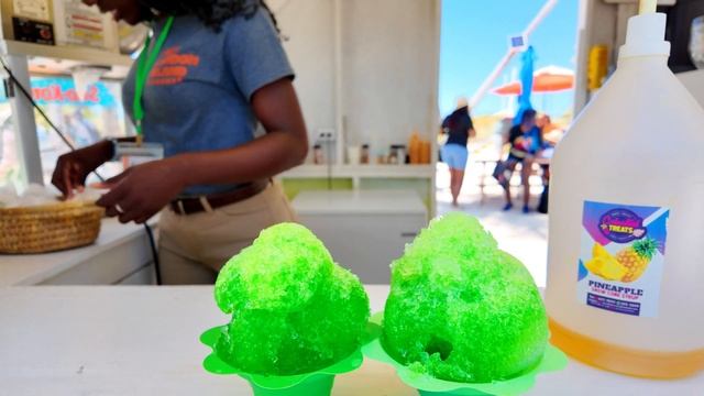 MSC SEASHORE: BLUE LAGOON ISLAND- NASSAU BAHAMAS, A TOP 10 CRUISE ATTRACTION!
