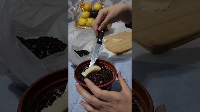 N⁰-149. 🍌 БАНАННИ🍌 УЙ ШАРОИТИДА ЭКИБ КУПАЙТИРИШ...
