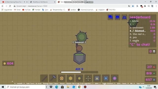 moomoo.io hackimi testettim